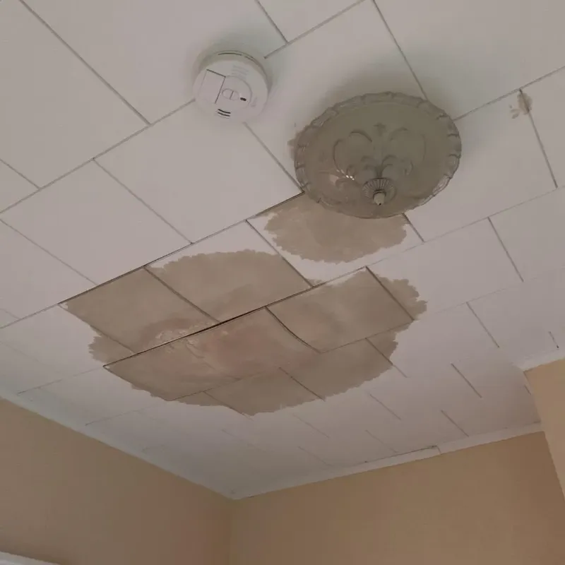 Ceiling Water Damage Repair in Cullowhee, NC