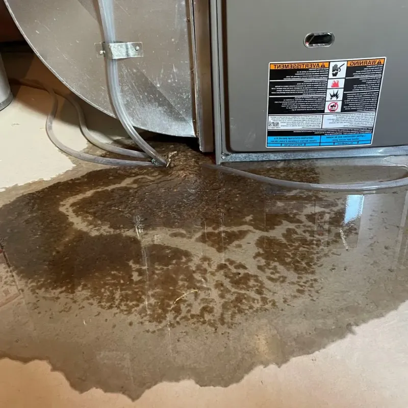 Pipe Burst and Leak Restoration in Cullowhee, NC