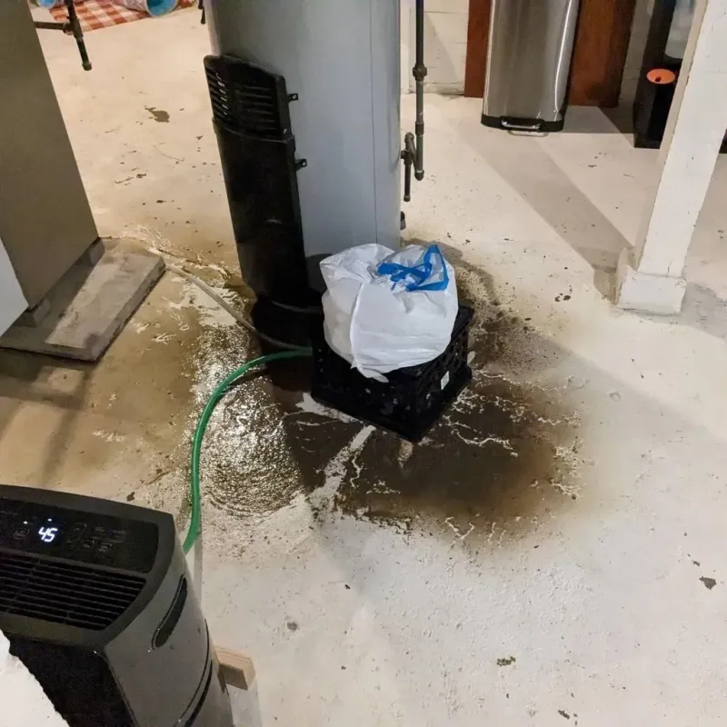 Sewage Backup Cleanup Service in Cullowhee, NC